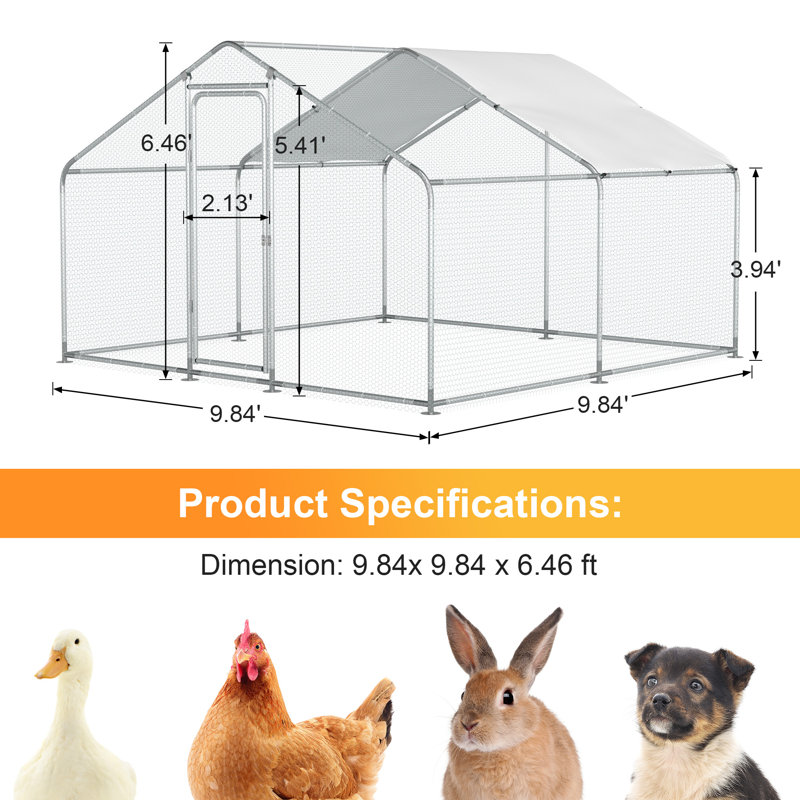 Poulailler avec grillage métallique 96,8 pi² Daijuan, H 77,52 po x l 118,08 po x P 118,08 po