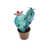 Teal/Brown