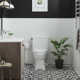 Voltaire One-Piece Elongated Toilet Dual-Flush 1.1/1.6 gpf