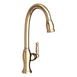Nadya Single Handle Pull Down Kitchen Faucet
