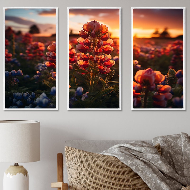 «Red Bonnets Field with Orange Sunset - Blue Bonnets», ensemble d'art mural, H 40 po x l 60 po x P 1 po, Cadre flottant blanc