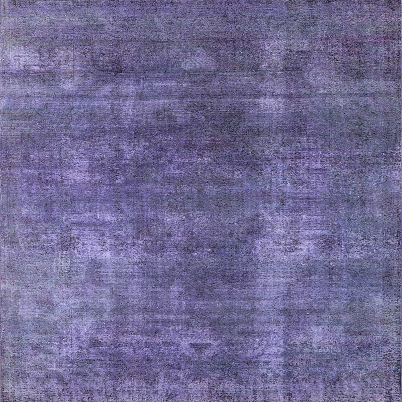 Oriental Indoor Rug, Square 4'