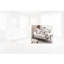 Causeuse Miram-1659053042