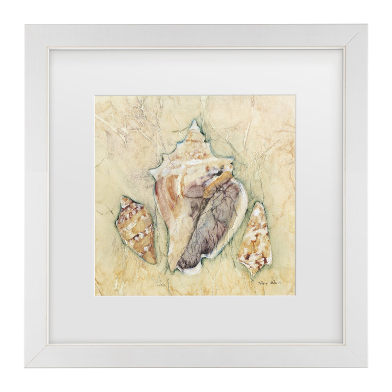 «Cheri Blum Shells III», art encadré mat, H 13 po x l 13 po, Blanc