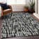 Machine Washable Indoor/Outdoor Chayden ACN1059 Rug