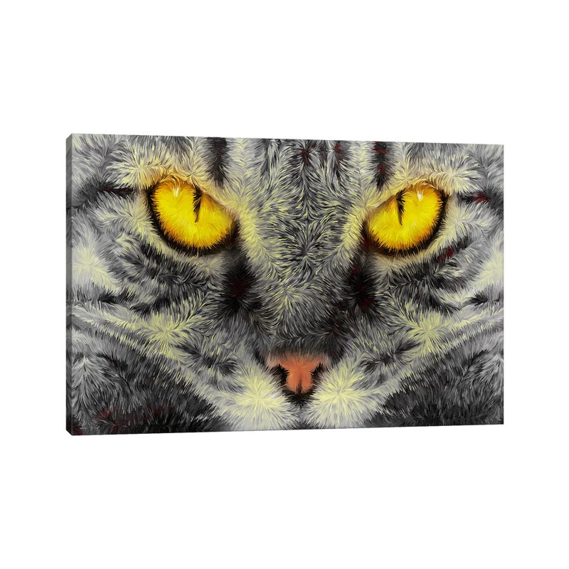 Gato Loco by Diego Tirigall - Wrapped Canvas Print, 30.48 cm H x 45.72 cm W