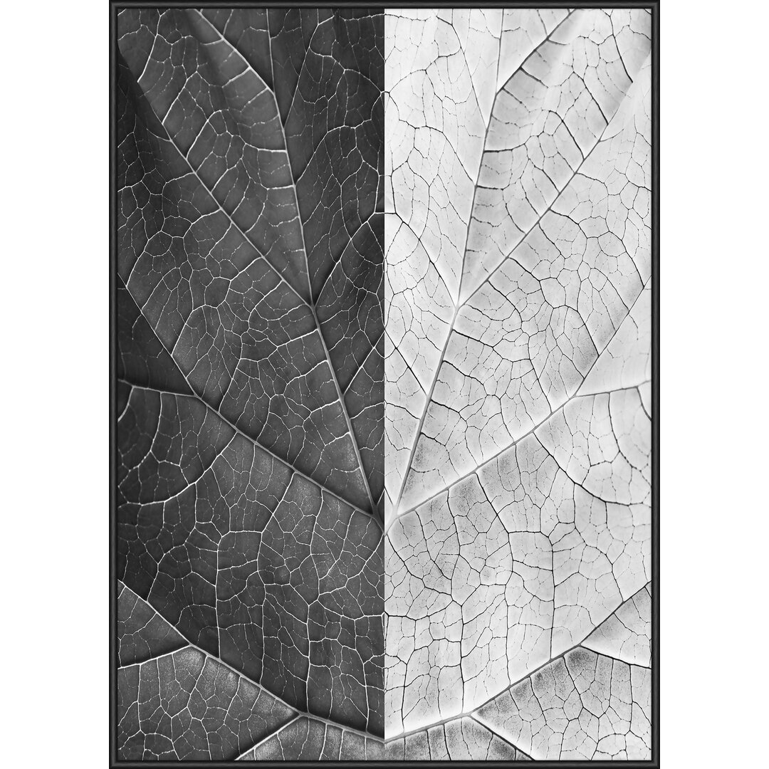 Gerahmtes Poster Leaf Mirror 1, Grafikdruck