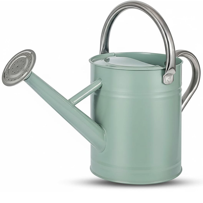 Metal Watering Can with Removable Spout, Galvanized 1 gal., Perfect for Indoor & Outdoor Use (Yellow), Green