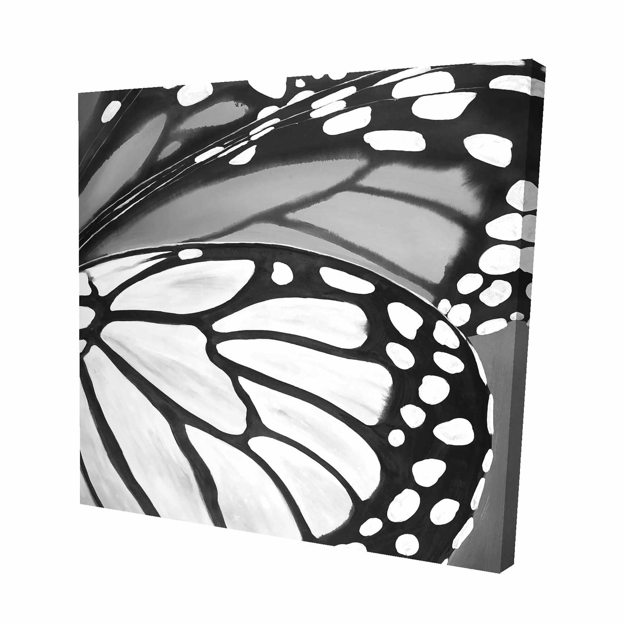 butterfly wing pattern close up