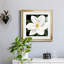 «Midnight Magnolia II», reproduction encadrée de qualité supérieure - prête à être accrochée-1218789665-1218789668-1218858698
