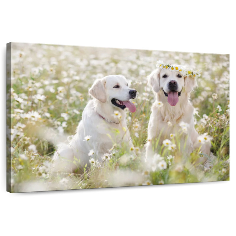 Brampt Golden Retriever Couple, 34" H x 51" W