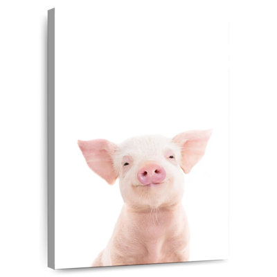 Baby Piglet