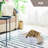 Cat Scratcher,Cardboard Lounge Bed, Bone Shape Design-385377265