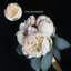 Fleurs de pivoines rétro-1490247566