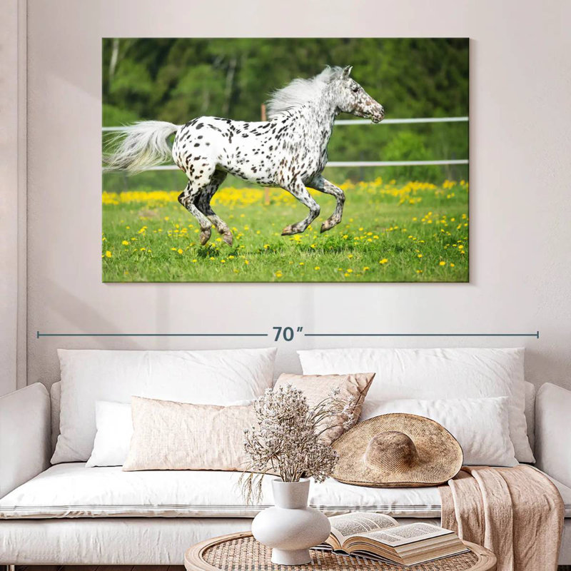 Crowle Appaloosa Horse, 34" H x 51" W