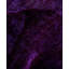 Overdyed One-of-a-Kind 6' 1" X 9' 1" Hand Knotted Area Rug