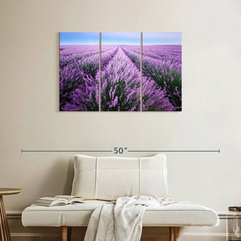 Champ de lavande d'Alvord en Provence, H 24 po x l 38 po