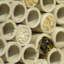 Free Standing Bumblebee House