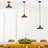 1-Light Pendant Lighting