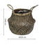 Duarte Indoor Seagrass Lined Basket Planter-37215262