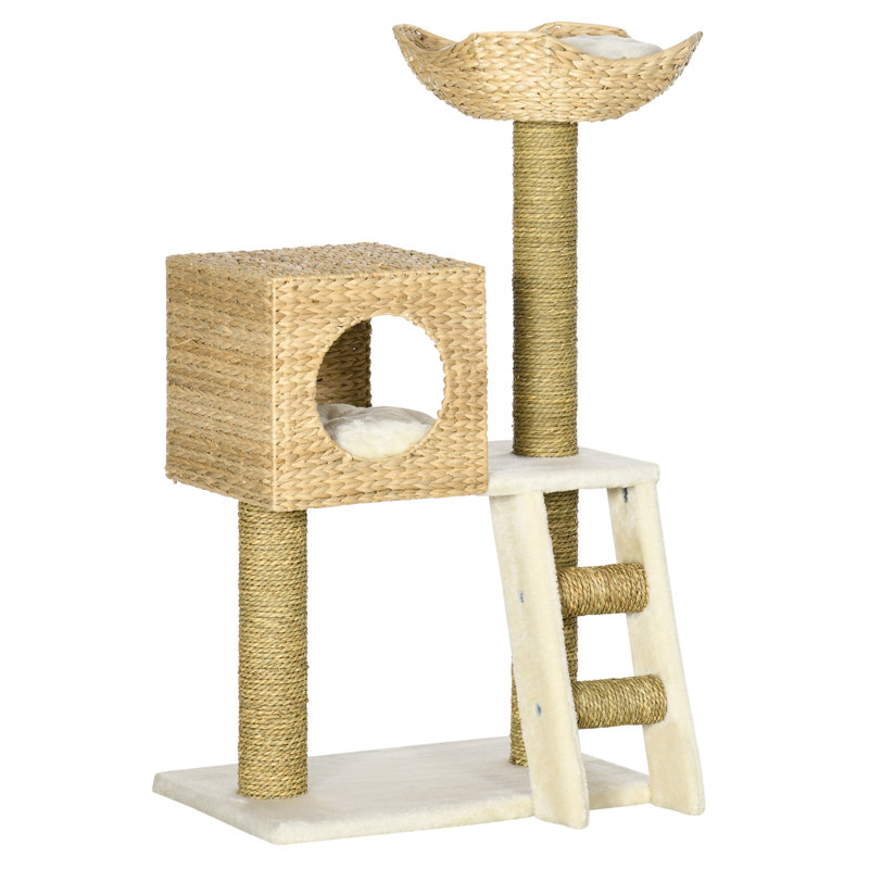 Arbre à chat d'intérieur et condo avec coussins