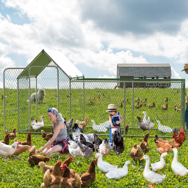 Automatic Chicken Coop Door