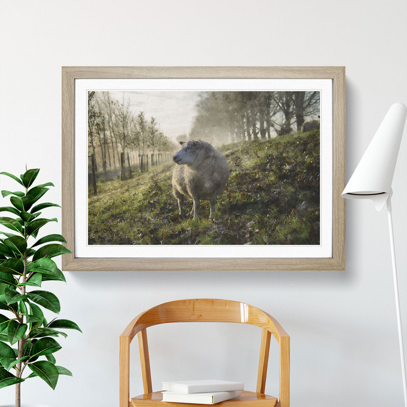 Woolly Sheep - Picture Frame Graphic Art, 27cm H x 36cm W x 2cm D, Oak Framed