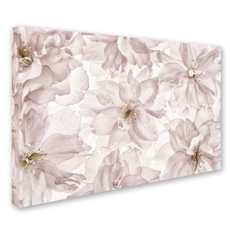 Fleur de cerisier translucide par Cora Niele - reproduction de photo sur toile, H 12 po x l 19 po x P 2 po
