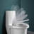 Taranto Elongated Toilet Seat and Lid