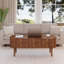 39.37'' W Oval Lift Top Coffee Table With Storage-1667876211