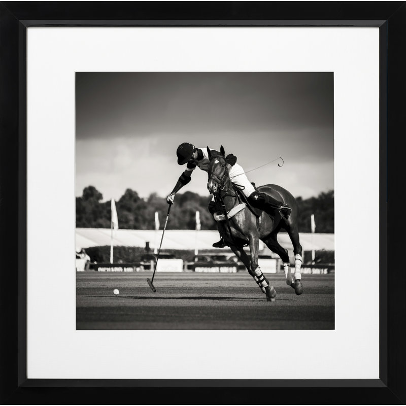 Polo I - Single Picture Frame Print