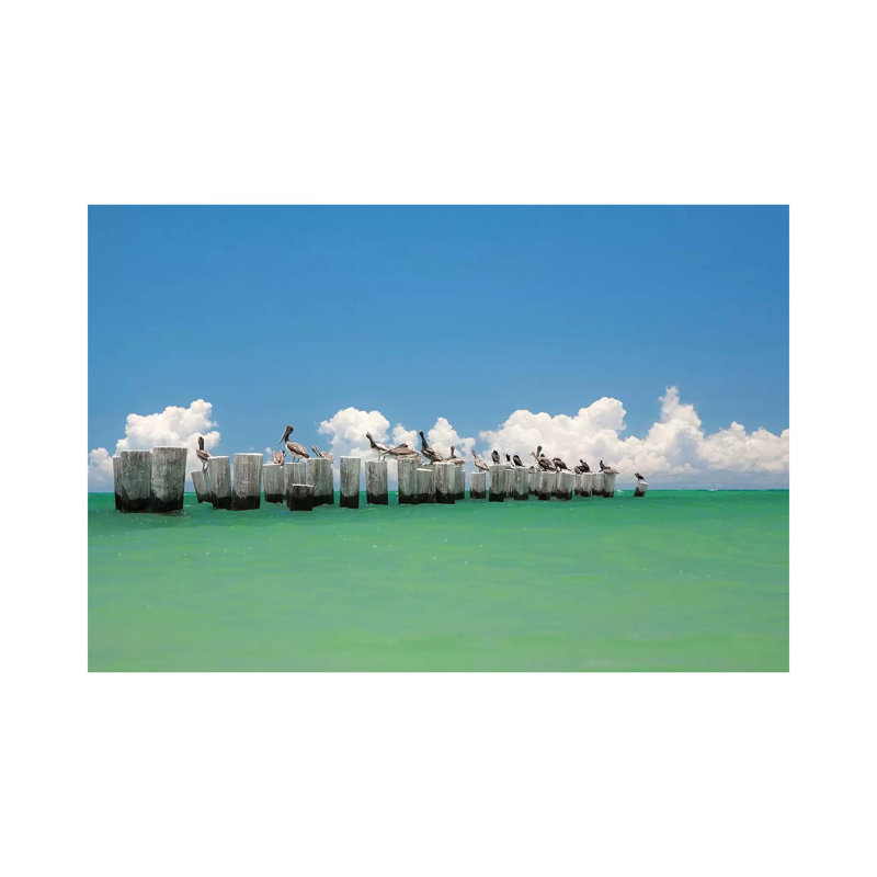 Gull Conference by Verne Varona - Gallery-Wrapped Canvas Giclée on Canvas, No Frame, 20.32 cm H x 30.48 cm W