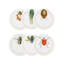 Insects Ceramic Round Coaster