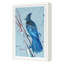 Blue Jay 3 Print by PC Ngo-1597885284-1597885287