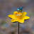Ewalt Metal Pole Decorative Bird Feeder