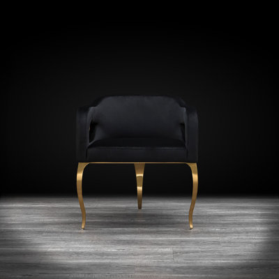 Iseminger 19'' H Velvet Upholstered Armchair