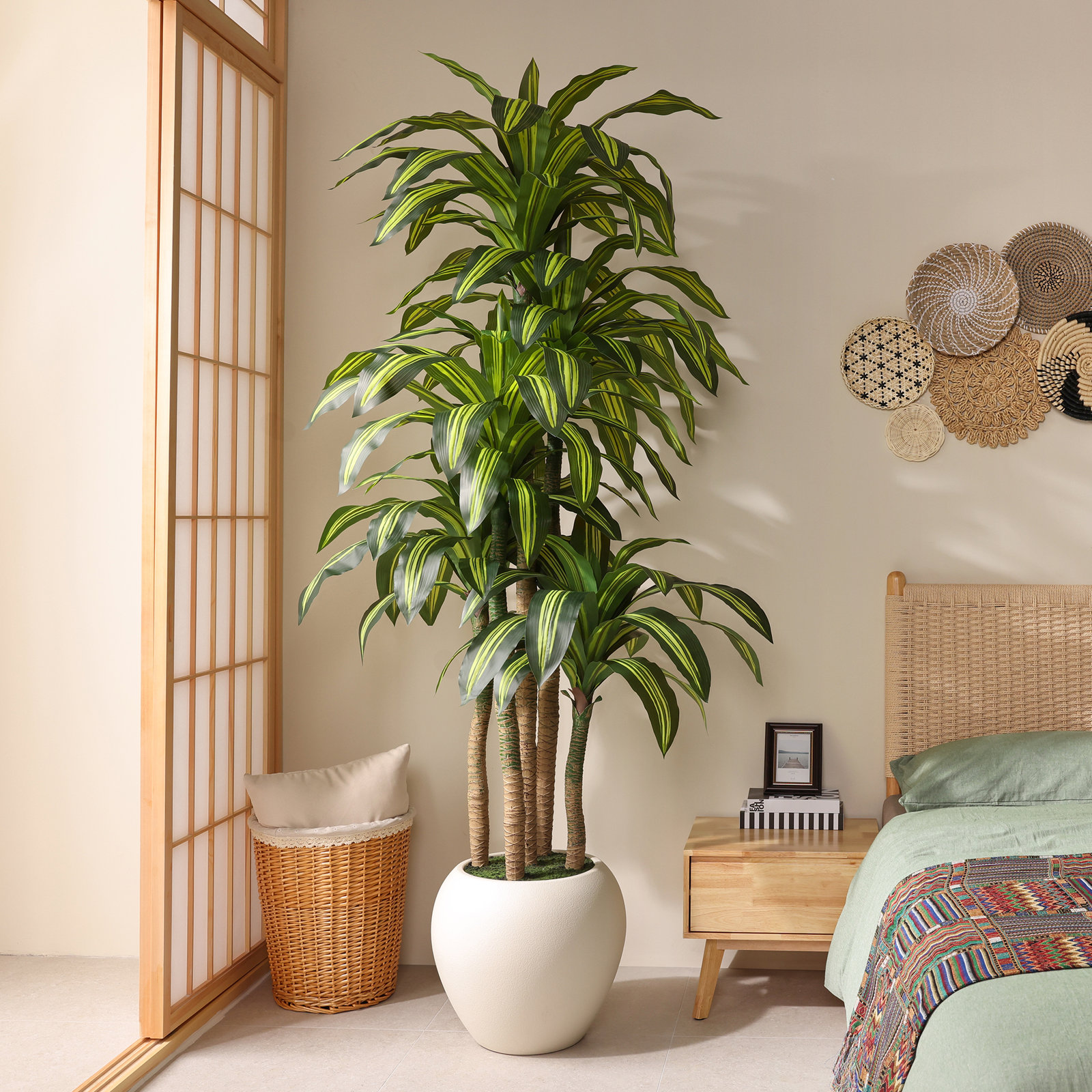 Romney Dracaena Tree in Planter, 96" H x 34" W