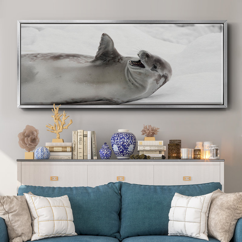 Laughing Seal- Framed Canvas