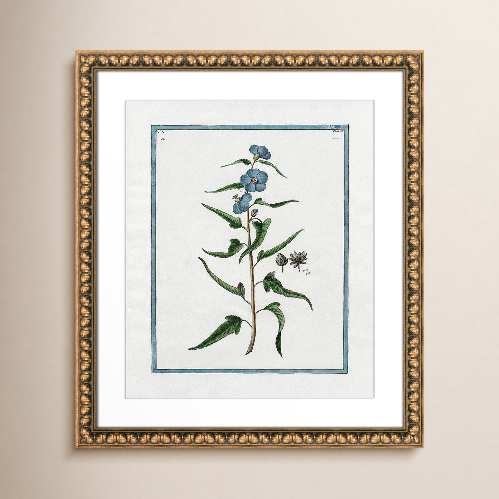 Colombe "Shabby Elegance Botanical I" Print, Gold Bead Framed, 17" W x 20" H