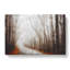 Woodland Road - Wrapped Canvas-56638076