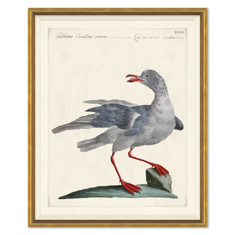 Odd Birds Giclee Print