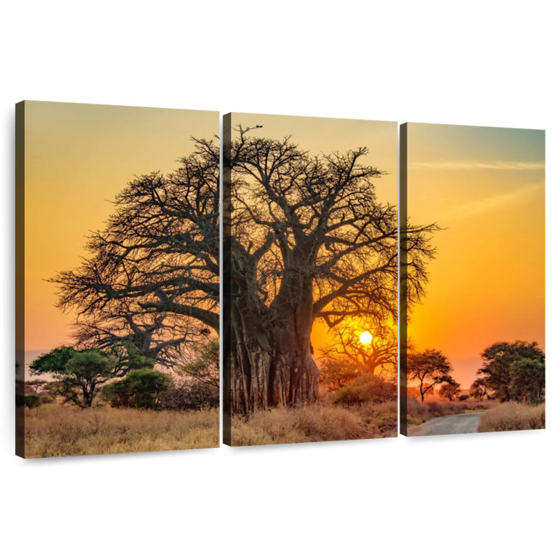 Nicci Tarangire Baobab Tree, 24" H x 38" W