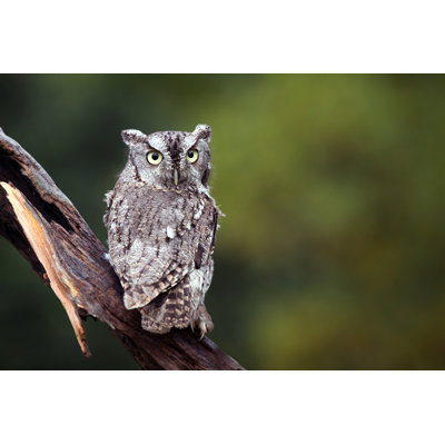 Œil qui voit tout par Iculquis - Photographie sur toile tendue