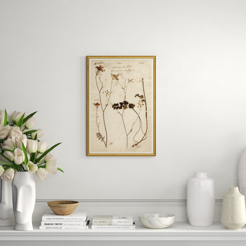Herbarium 1 Giclee Print