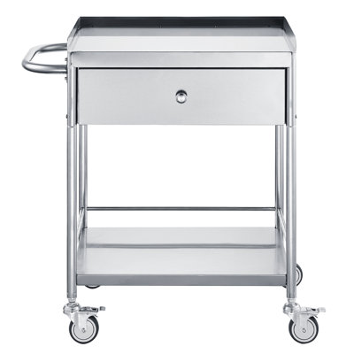 2-Layer Stainless Steel Utility Cart, 25.59 x 19.49 x 11.81 inches, 1 Pack, Lab/Clinic/Kitchen/Salon Cart, Silver, 220 lbs Capacity