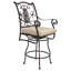 San Cristobal Outdoor Swivel Bar Stool-1258478164-1258478155