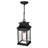 Luminaire suspendu d'extérieur noir 1 lumière Biergh-1769914760