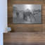 Art mural en métal luxueux «Elephant Race Bw» par Max Blakesberg Studios, 16 po x 12 po-577974526