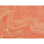 CORPUSCLES Print by Will Birdwell-65849464-65825274