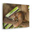 No Frame Print on Canvas